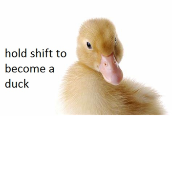 Hold shift to become a duck