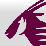 Qatar Airways RobӀox