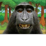 Monkey_Club!!