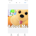 Adopt me fans only club