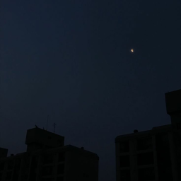 새벽 버스 (vibe)