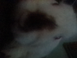 Jayden_51157