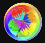 Rainbow and Lucky Studios