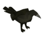 250