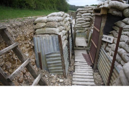 the trench