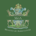 Ministry of Agriculture