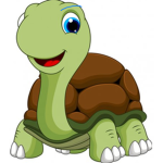 Team turtles for life