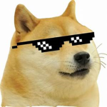 ROBLOX PLAYERS !!