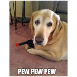 Pew Meme group