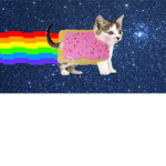 the nyanboys Fanclub