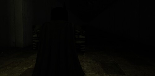 SURVIVE BATMAN [RELEASE]