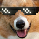 CreakyCorgi Official