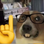 Nerd Incorporation