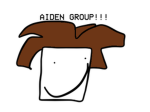 Aiden group Version