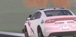 NPG | Nevada Police Group