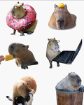 DA CAPYBARASS