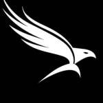 (SOTF) Special Operation Task Force