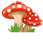 Mushroom kings