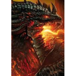The fiery fire dragons