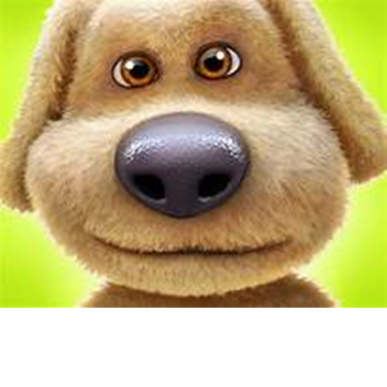 Survival the dog the killer