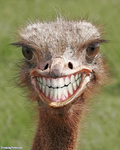 I seeeeeeee youuuuuuu