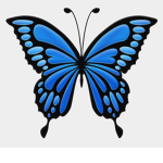 Butterfly Clothings