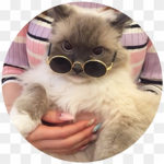 robux HEHE we