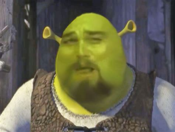 Shrek And the Houses [Shrek Morph] screenshot 3