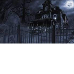 Haunted House (NEW)