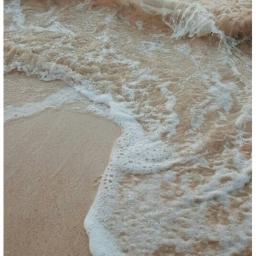 dreamed♦