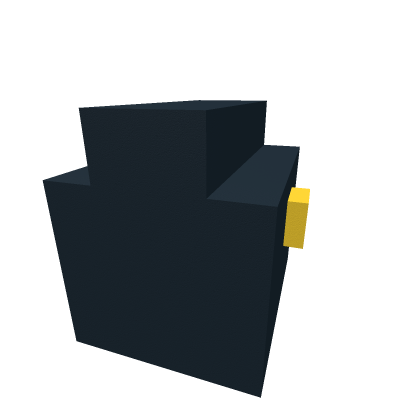 Chest