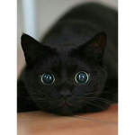 hehe go away-