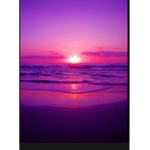 Purple sunsets!!