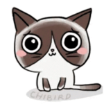 KittyCatsCrew