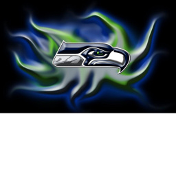 Seahawks stadium!