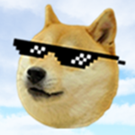 Doge Gan Group