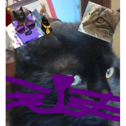 THEKITTYSHIP Official Hangout!!!