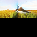 Aesthetic Island Showcase