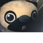 Fake doge the dude