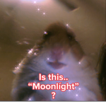 MoonLíght