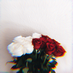 bunch