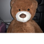 BEARS ARE BEST