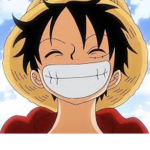 The Luffy Pirates!