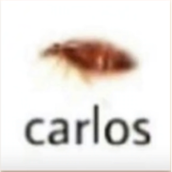 Orange Autumn Relaxation Room