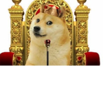 Kingdoge fan club