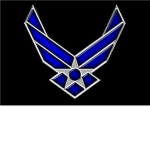 ROBLOXIN AIR FORCE