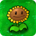 sun_flower_gang
