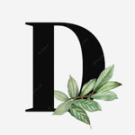 Dela Clothing