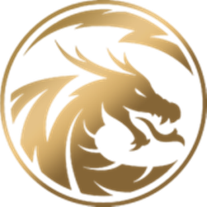 LDS Fighting avatar