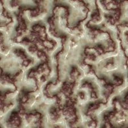 Flesh Texture Roblox decal